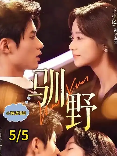 蜜桃网犯罪悬疑剧雾港谜案